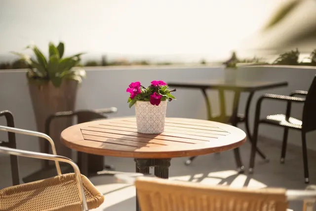 Hotellbilder av Amigos Para Sempre - Casa de hospedes - nummer 1 av 52