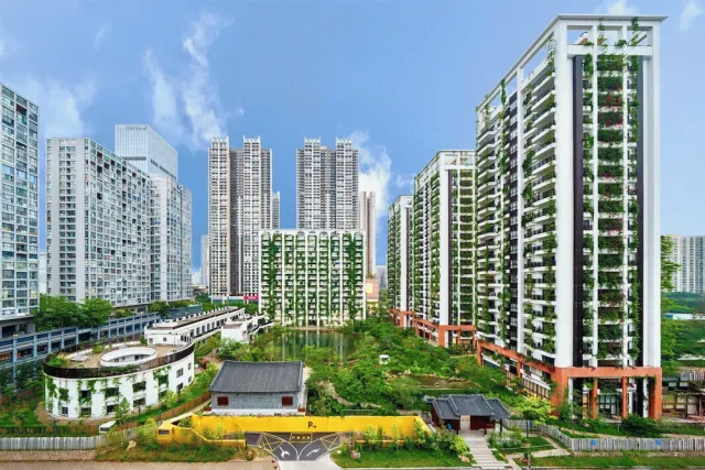 Hotellbilder av Wutong Hotel Apartment (Bao'an Center) - nummer 1 av 82