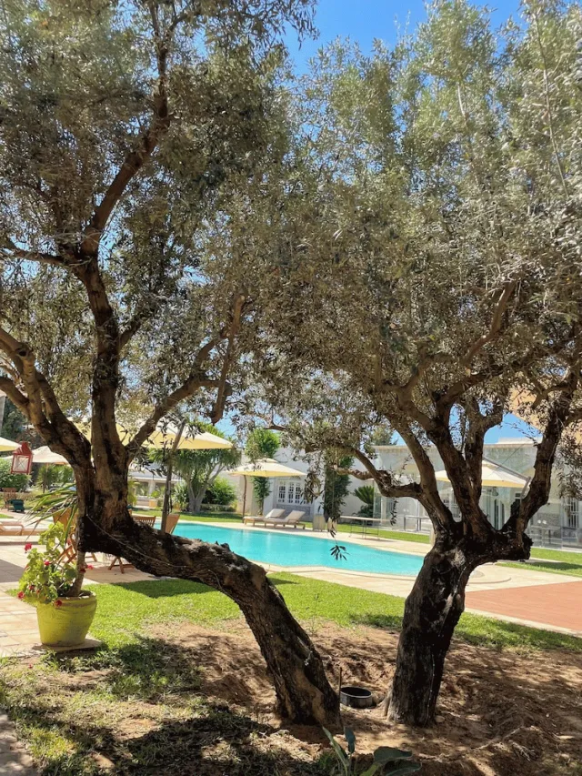 Hotellbilder av Nawara Residence - nummer 1 av 29