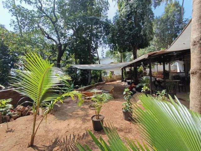 Hotellbilder av Jangala Resort - nummer 1 av 69