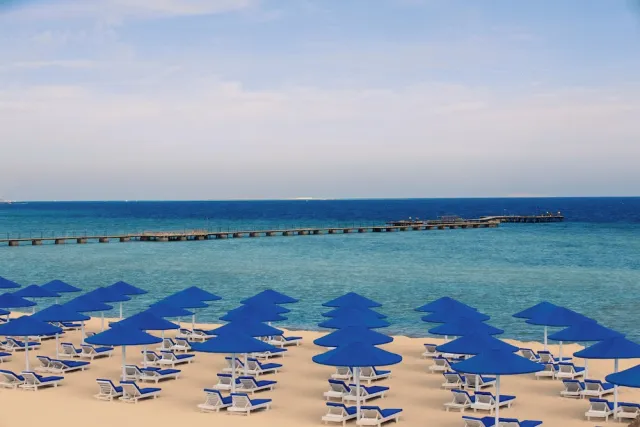 Billede av hotellet Albatros Makadi Resort - nummer 1 af 100