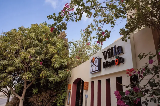 Billede av hotellet Villa Mango - nummer 1 af 42