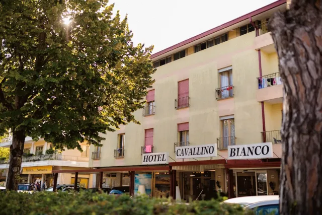 Billede av hotellet Hotel Cavallino Bianco - nummer 1 af 10
