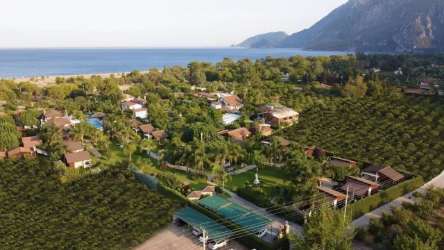 Hotellbilder av Cirali Hera Hotel - nummer 1 av 97