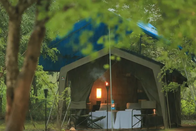 Hotellbilder av Big Game - Wilpattu by Eco Team - nummer 1 av 94