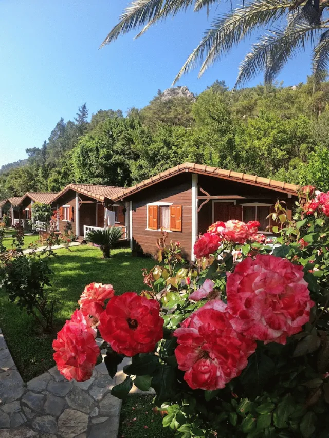 Hotellbilder av Canada Hotel & Bungalows - nummer 1 av 64