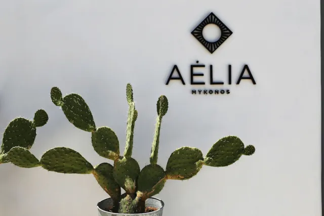 Hotellbilder av Aelia Mykonos - nummer 1 av 65