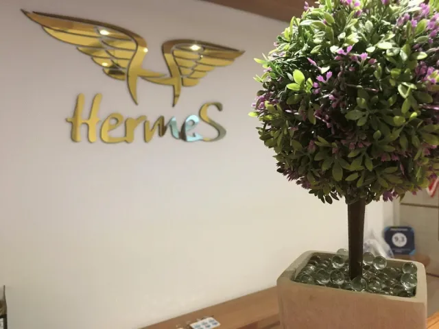 Billede av hotellet Hotel Hermes - nummer 1 af 40