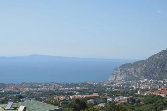 Billede av hotellet Hotel Royal Hills - nummer 1 af 44