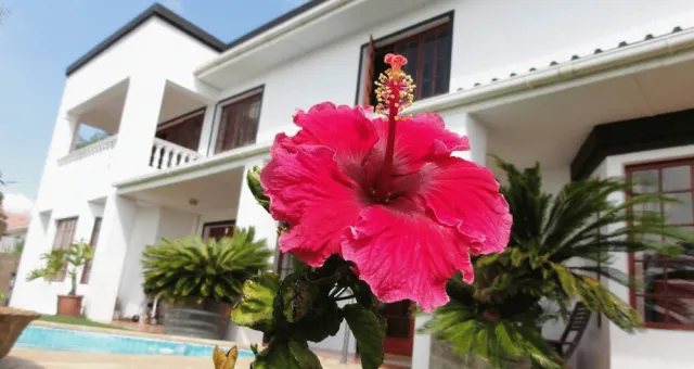 Billede av hotellet Helderberg Guesthouse - nummer 1 af 10