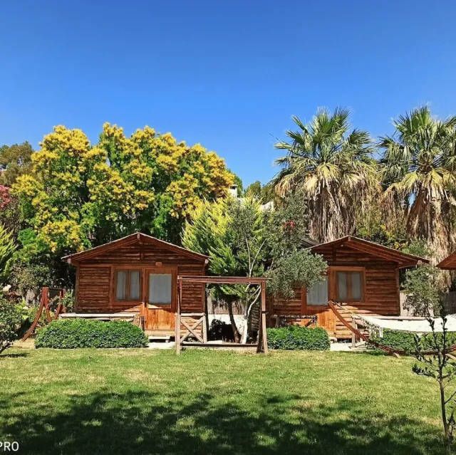Billede av hotellet Pitos Bungalows - nummer 1 af 82
