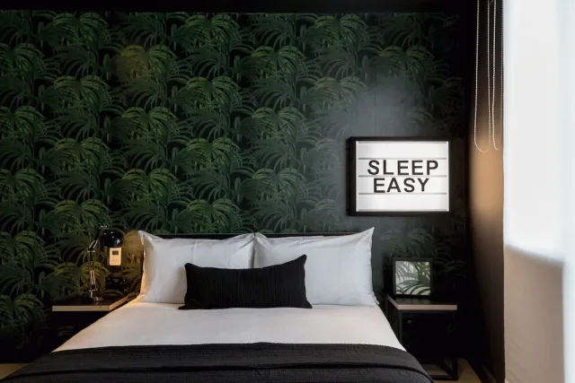 Billede av hotellet Kip Hotel - nummer 1 af 10