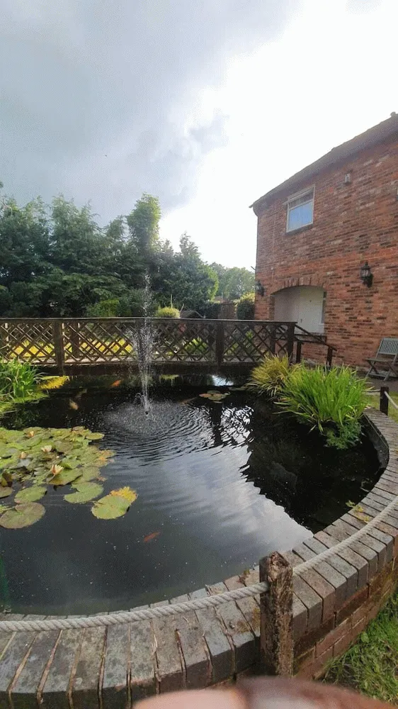 Hotellbilder av The Manor Guesthouse - nummer 1 av 54