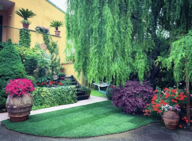 Hotellbilder av Le Pinette Bed and Breakfast - nummer 1 av 59