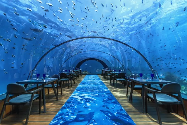 Billede av hotellet Hurawalhi Island Resort - nummer 1 af 80