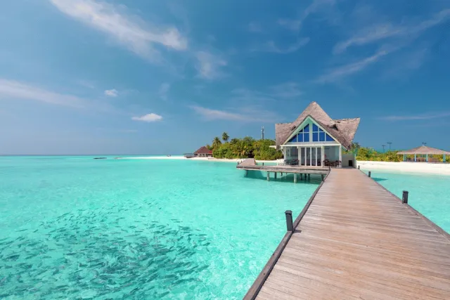 Billede av hotellet Dhigufaru Island Resort - nummer 1 af 100