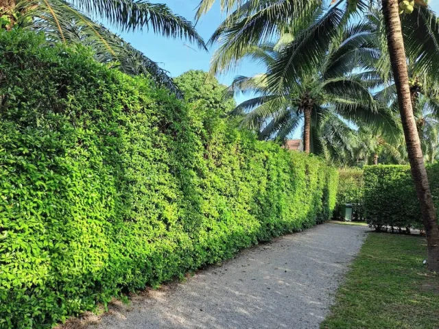 Hotellbilder av Alisea Pool Villas - nummer 1 av 56