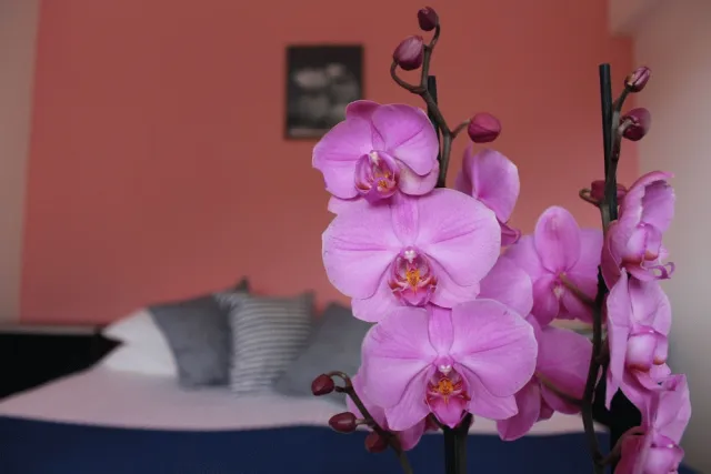 Hotellbilder av Albergo Residence Pucara - nummer 1 av 29