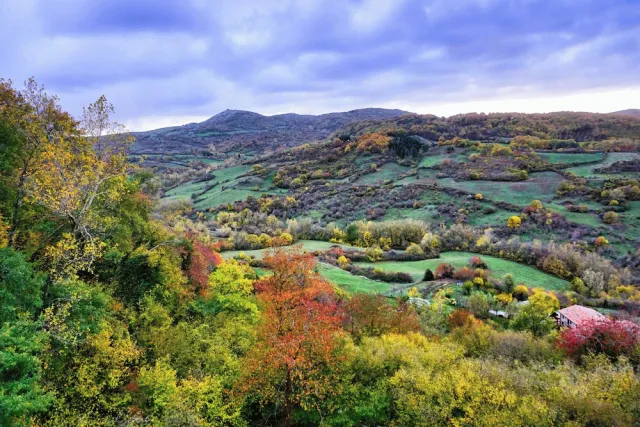 Billede av hotellet Agriturismo Bio I Rondinelli - nummer 1 af 10