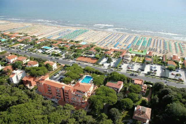 Billede av hotellet Versilia Palace Hotel - nummer 1 af 42