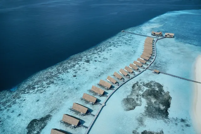 Hotellbilder av COMO Cocoa Island - nummer 1 av 100