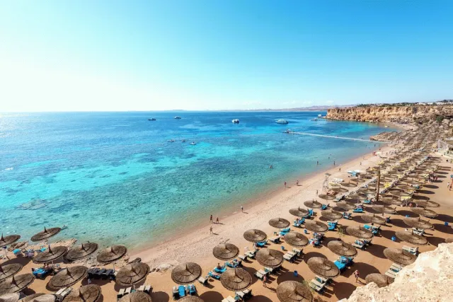 Billede av hotellet Reef Oasis Beach Aqua Park Resort - nummer 1 af 73