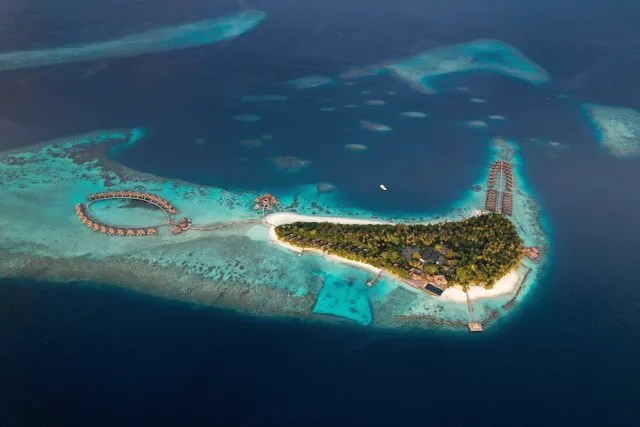 Billede av hotellet Coco Bodu Hithi - nummer 1 af 100