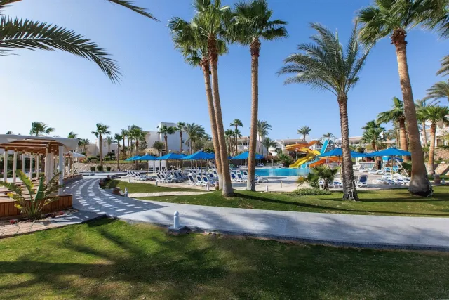 Billede av hotellet Naama Bay Hotel & Resort - nummer 1 af 50