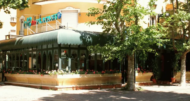Hotellbilder av Hotel Dei Platani - nummer 1 av 10