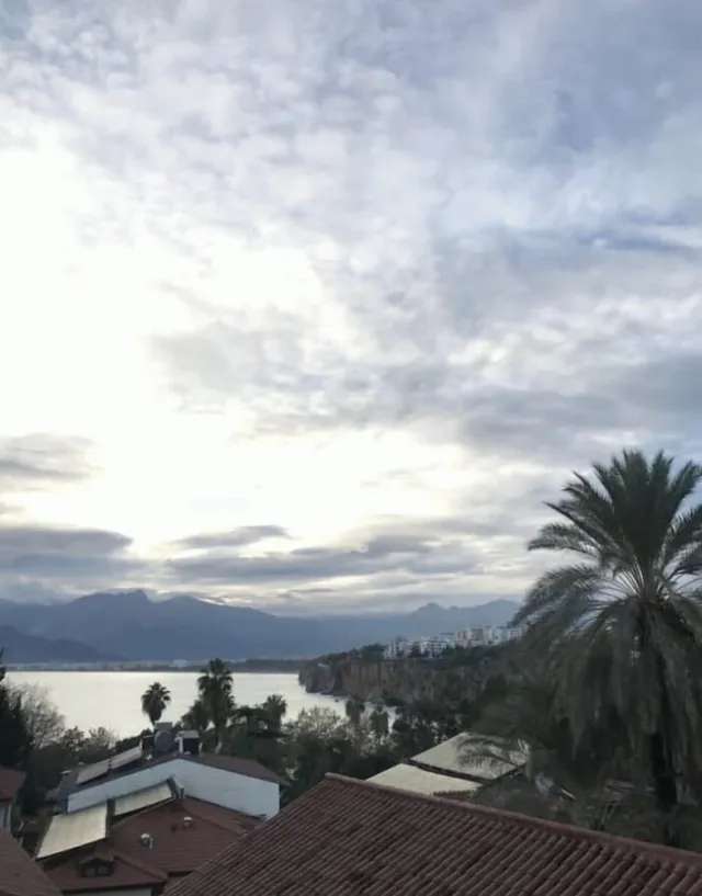 Billede av hotellet Villa Tulipan - nummer 1 af 10