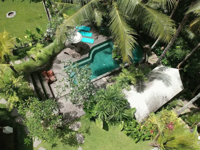 Billede av hotellet Ubud Tropical - Hostel - nummer 1 af 10