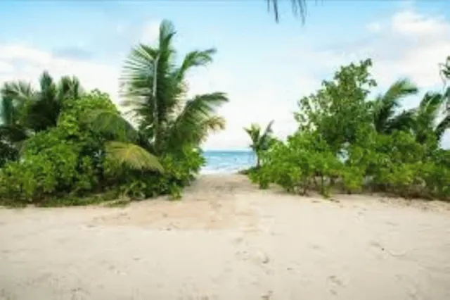 Hotellbilder av Seashell Beach Villa - nummer 1 av 40