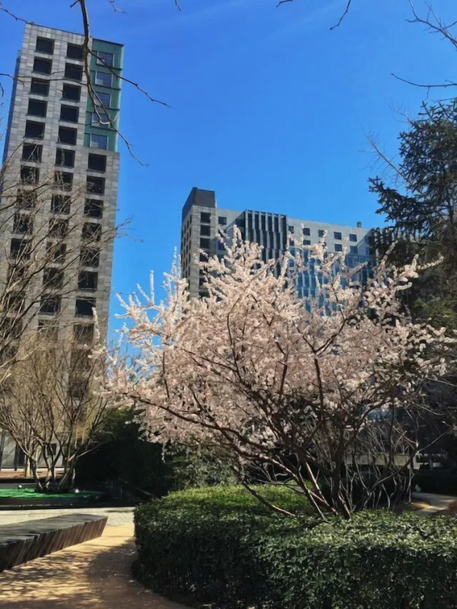 Hotellbilder av Beijing Yilejia Apartment - nummer 1 av 10