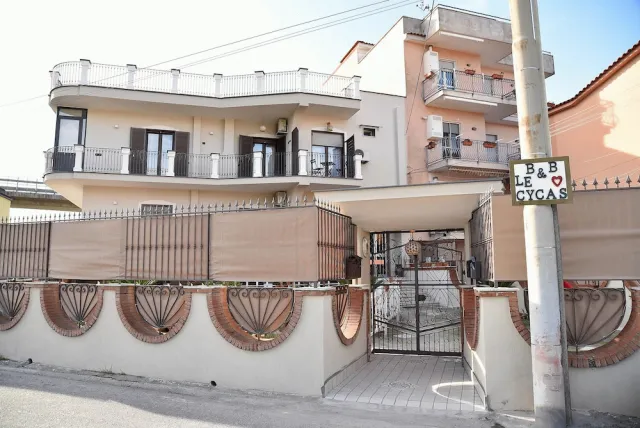 Hotellbilder av B&B Le Cycas - nummer 1 av 82