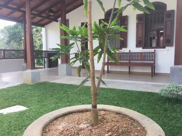 Hotellbilder av Natures Lodge-Galle - nummer 1 av 41