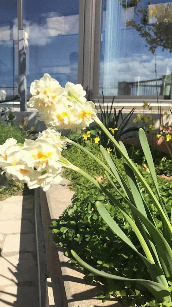 Billede av hotellet Marmaras - nummer 1 af 10