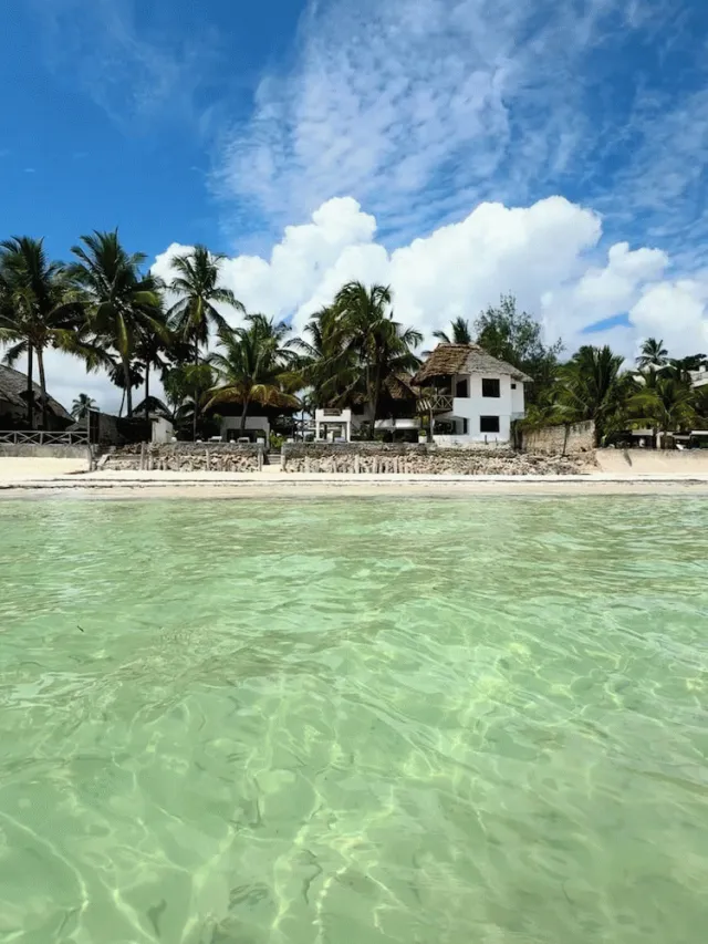 Billede av hotellet Mango Beach house - nummer 1 af 10