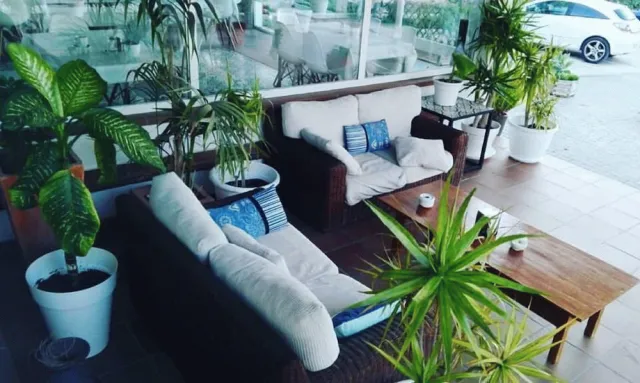 Hotellbilder av Hotel Marisma Sancti Petri - nummer 1 av 33