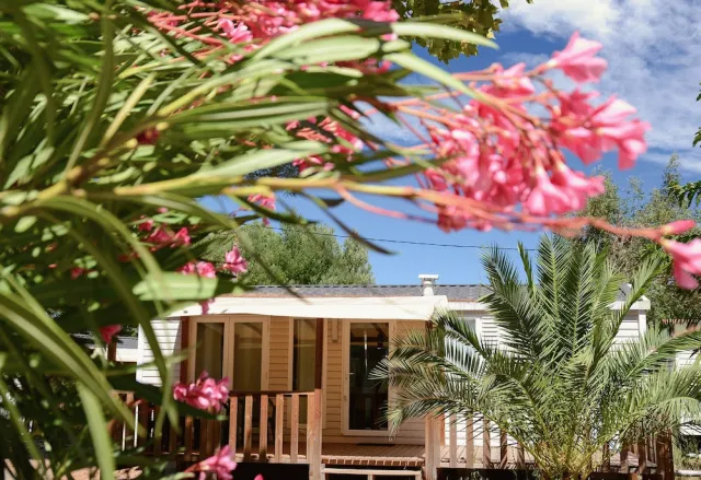 Hotellbilder av Camping Maïana Resort - nummer 1 av 46