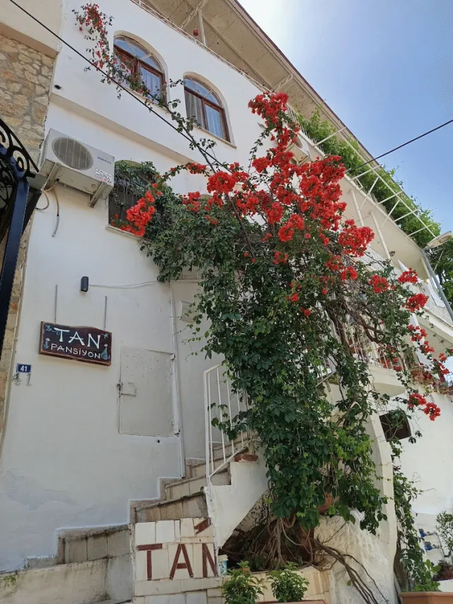 Hotellbilder av Tan Pansiyon - nummer 1 av 61