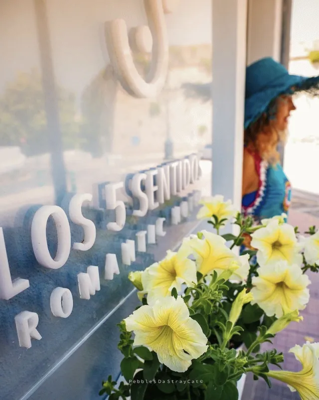 Billede av hotellet Hotel Romantic Los 5 Sentidos - nummer 1 af 10