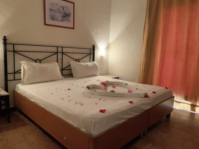 Billede av hotellet Sol Palmeras Beach - Family Hotel - nummer 1 af 10