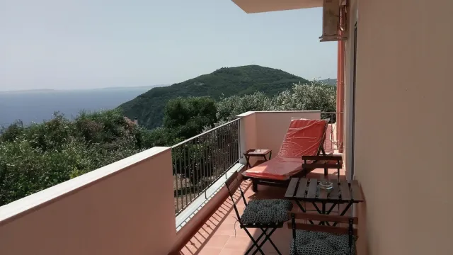 Billede av hotellet Olive Tree Apartment - nummer 1 af 85