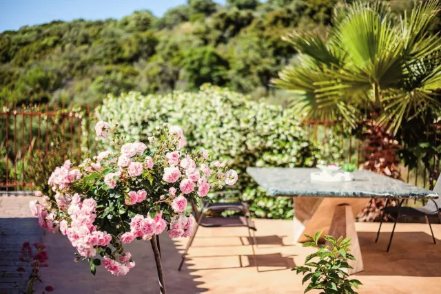 Hotellbilder av Villa Armonia - Beachfront Majestic Retreat - nummer 1 av 26