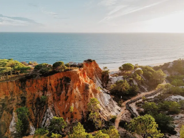 Billede av hotellet Pine Cliffs Village - nummer 1 af 10