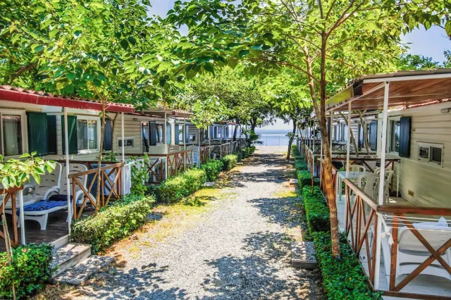 Billede av hotellet Camping La Focetta Sicula - nummer 1 af 10