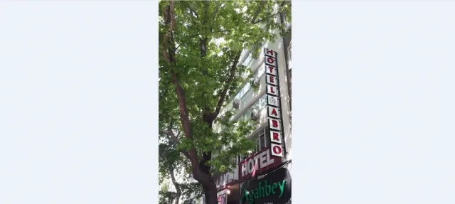 Hotellbilder av Hotel Abro Necatibey - nummer 1 av 100