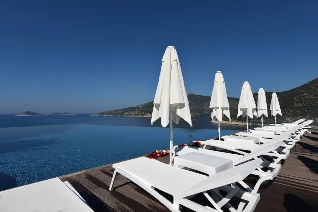 Billede av hotellet Kalamar Hotel - nummer 1 af 100