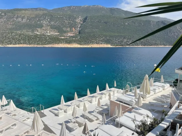 Billede av hotellet Club Capa Hotel - nummer 1 af 100