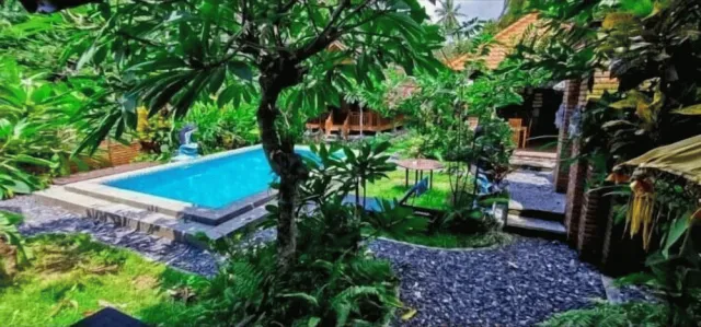 Billede av hotellet Halumba Eco Villa - nummer 1 af 10